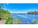 Scenic view of calm river with lush vegetation at 1312 Wasilla St, North Port, FL 34291
