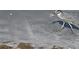 Two birds on a beach; one appears to be carrying food at 1577 Monarch Dr # 1577, Venice, FL 34293