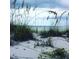 Seascape with sea oats and wildflowers framing the ocean view at 5 Pointe Way, Placida, FL 33946