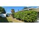 Landscaped side yard with lush greenery and a fence at 6981 Tuxedo St, Englewood, FL 34224