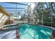 Relaxing outdoor pool and spa surrounded by palms and tropical plants with an enclosed patio at 955 Morrison Ave, Englewood, FL 34223