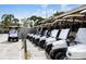 Row of parked golf carts, showcasing the recreational amenities available at the community at 10 Bermuda Cir # 57, Englewood, FL 34223