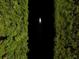 Overhead shot of sailboat serenely sailing along river at 15081 Aldama Cir, Port Charlotte, FL 33981