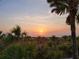 Stunning beach sunset, with silhouetted palm trees and lush greenery framing a beautiful coastal scene at 211 Pine Glen Ct, Englewood, FL 34223