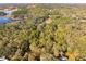 Wooded homesite showing the canopy of trees, the landscape and a glimpse of the home below at 9094 Preston Rd, Brooksville, FL 34601