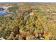 Wooded homesite showing the canopy of trees, the landscape and a glimpse of the home below at 9094 Preston Rd, Brooksville, FL 34601
