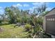 Backyard garden with mature trees, foliage, and a storage shed at 1320 Bayshore Dr, Englewood, FL 34223