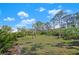 Large grassy backyard with scattered trees under a blue sky, offering ample space for recreation and relaxation at 1320 Bayshore Dr, Englewood, FL 34223