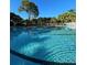 Relaxing community pool with palm trees and lounge chairs at 1108 Bayhead Ln, Osprey, FL 34229