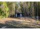 Metal shed nestled in bamboo grove at 11317 Salina St, Brooksville, FL 34614