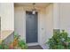 Modern dark gray front door with a light fixture and landscaping at 10710 Southern Forest Dr, Riverview, FL 33578