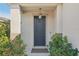 Modern dark gray front door with a light fixture and landscaping at 10710 Southern Forest Dr, Riverview, FL 33578