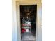 Workshop interior with various hunting trophies and tools at 7301 Anacapa Ln, Plant City, FL 33565