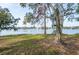 Spacious backyard with mature trees and scenic lake view at 7182 E Bank Dr # 7-103, Tampa, FL 33617