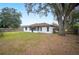 Large backyard with a mix of grass and leaves, framed by mature trees and partial fencing at 1413 Sandalwood Dr, Plant City, FL 33563