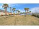 Landscaped area with palm trees offering scenic lake views at 3510 N Maryland Ave, Plant City, FL 33565