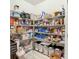 Well-organized pantry with ample shelving for storage at 11701 Brighton Knoll Loop, Riverview, FL 33579