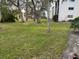 Spacious grassy backyard with mature trees and partial view of neighboring building at 1415 Doolittle Ln # 107, Dunedin, FL 34698