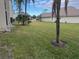 View of a condo building from the grassy backyard. Palm trees and other foliage are present at 1415 Doolittle Ln # 107, Dunedin, FL 34698