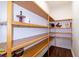 Well-organized pantry with wooden shelves offering generous storage at 14818 Grady Sweat Ln, Wimauma, FL 33598