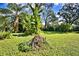 Lush backyard with vibrant banana trees and landscaping, offering a private oasis for relaxation at 1413 May St, Lutz, FL 33548