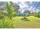 Large backyard with mature banana trees providing shade and privacy, ideal for outdoor activities at 1413 May St, Lutz, FL 33548