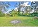 Expansive backyard featuring mature trees, providing ample space for outdoor activities and gardening at 1413 May St, Lutz, FL 33548