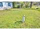 A view of the front yard and grass at 1413 May St, Lutz, FL 33548