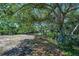 A vacant lot overlooking the water and surrounded by trees with lush landscaping provides ample privacy at 1061 Owl Dr, Englewood, FL 34223