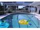 Backyard pool enclosed by screen provides a relaxing oasis with clear blue water, and tropical ambiance at 221 Malvern Dr, Venice, FL 34293