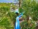 Blue waterslide at community pool, surrounded by palm trees at 12232 Stuart Dr, Venice, FL 34293