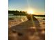 Seashell on beach at sunset at 5 N Casey Key Rd, Osprey, FL 34229