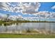 Serene lake view with lush vegetation at 13587 Vancanza Dr, Venice, FL 34293