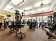 Large fitness center with a variety of equipment at 19256 Lappacio St, Venice, FL 34293