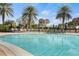 Relaxing freeform swimming pool with palm trees at 19256 Lappacio St, Venice, FL 34293