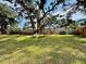 Peaceful backyard with a hammock under a large tree at 129 Gulf Ave, Nokomis, FL 34275