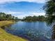 Serene lake with lush vegetation and lily pads at 21621 Winter Park Ct, Venice, FL 34293