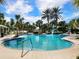 Community pool with a waterslide, palm trees, and lounge chairs at 21621 Winter Park Ct, Venice, FL 34293