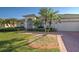 Landscaped front yard with brick pavers and palm trees at 746 Fringed Orchid Trl, Venice, FL 34293