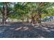 Relaxing park area with benches under large shade trees at 13510 Esposito St, Venice, FL 34293