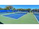 Well-maintained pickleball courts at 21042 Anclote Ct, Venice, FL 34293