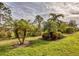 Landscaped backyard with lush tropical plants at 21208 Sandal Foot Dr, Venice, FL 34293
