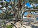 Relaxing community space under a large oak tree at 10055 Crooked Creek Dr # 102, Venice, FL 34293