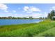 Scenic view of the pond and landscaping at 12837 Oriago St, Venice, FL 34293