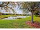 Houses with lake views in a tranquil community at 20272 Tesoro Dr, Venice, FL 34293