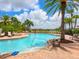 Pool area with lounge chairs and palm trees at 5930 Anise Dr, Sarasota, FL 34238