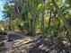 Peaceful backyard path meandering through tropical foliage at 624 Silk Oak Dr, Venice, FL 34293