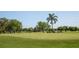 Expansive green golf course with palm trees at 655 Crossfield Cir # 7, Venice, FL 34293