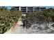 Sandy pathway to the beach through lush vegetation at 908 Golden Beach Blvd # 201, Venice, FL 34285