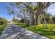 Driveway flanked by lush landscaping and a large tree at 107 Louella Ln, Nokomis, FL 34275